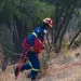 Χωρίς ενεργό μέτωπο η πυρκαγιά στη Μακρυκάπα Εύβοιας – Οριοθετήθηκε στην Αμφιθέα Αλεξανδρούπολης
