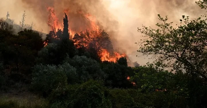 Πυρκαγιά σε δασική έκταση στη Σάμο