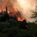 Πυρκαγιά σε δασική έκταση στη Σάμο