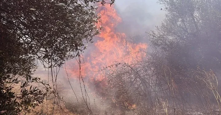 Πυρκαγιά σε αγροτοδασική έκταση στη δημοτική κοινότητα Σαπών