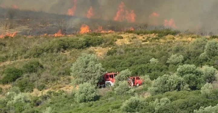 Πυροσβεστική: Τρεις συλλήψεις για εμπρησμούς από πρόθεση σε Αττική και Ηράκλειο Κρήτης