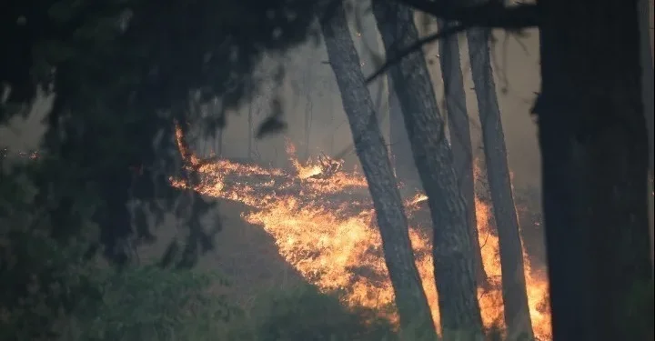 Δύο συλλήψεις για πυρκαγιές από αμέλεια σε Έβρο και Γρεβενά – Από αμέλεια το 88% των πυρκαγιών εφέτος