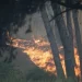 Δύο συλλήψεις για πυρκαγιές από αμέλεια σε Έβρο και Γρεβενά – Από αμέλεια το 88% των πυρκαγιών εφέτος