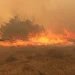 Πυρκαγιά σε δασική έκταση στη Φαλαισία Αρκαδίας