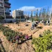 Δήμος Αθηναίων: 43 σχολικές αυλές γίνονται πιο πράσινες και πιο δροσερές