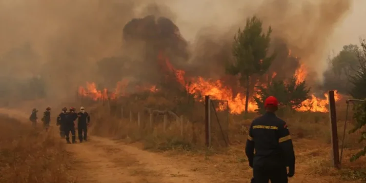 Υπό μερικό έλεγχο οι πυρκαγιές σε Καρδίτσα και Σέρρες – Χωρίς ενεργό μέτωπο στη Λακωνία