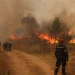 Υπό μερικό έλεγχο οι πυρκαγιές σε Καρδίτσα και Σέρρες – Χωρίς ενεργό μέτωπο στη Λακωνία
