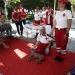 Παγκόσμια Ημέρα Σκύλου: Δωρεάν Πρώτες Βοήθειες για σκύλους στο Σύνταγμα από τον Ε.Ε.Σ.