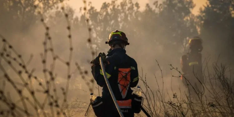 Φωτιά σε αγροτοδασική έκταση στην περιοχή Αγ. Μαρίνα Ηλείας