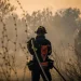 Φωτιά σε αγροτοδασική έκταση στην περιοχή Αγ. Μαρίνα Ηλείας
