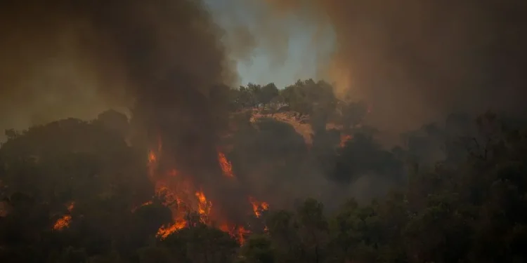Φωτιά στα Αϊβαλιώτικα Βόλου