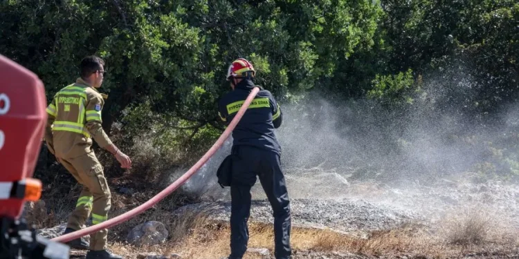 Αγροτοδασική φωτιά στα Κόμαρα Έβρου