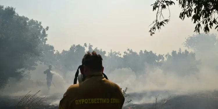 Φωτά σε χαμηλή βλάστηση στον Λουτρόπυργο Αττικής