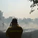 Φωτά σε χαμηλή βλάστηση στον Λουτρόπυργο Αττικής