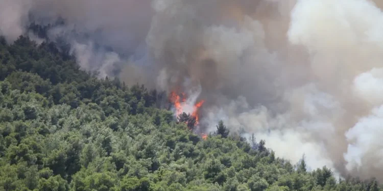 Στο Κανδήλι η μεγάλη μάχη με την πυρκαγιά στη Δυτική Αττική – Μικρή βελτίωση στα Βίλια – Νέα μέτωπα σε Πιερία, Πύλο και Κιλκίς