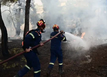 Πυροσβεστική: 27 αγροτοδασικές πυρκαγιές το τελευταίο εικοσιτετράωρο