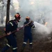 Πυροσβεστική: 27 αγροτοδασικές πυρκαγιές το τελευταίο εικοσιτετράωρο