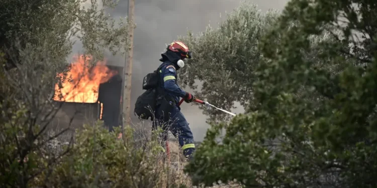 Τρεις συλλήψεις σε Αργολίδα, Πέραμα και Ροδόπη για πυρκαγιές από αμέλεια
