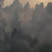 Μαίνεται σε δασική έκταση πυρκαγιά στη Βοιωτία