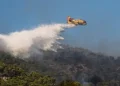 Πύργος:΅Οριοθετήθηκε η πυρκαγιά σε αγροτοδασική έκταση στην περιοχή Χειμαδιό