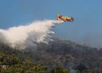 Πύργος:΅Οριοθετήθηκε η πυρκαγιά σε αγροτοδασική έκταση στην περιοχή Χειμαδιό