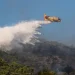 Φωτιά κοντά στον Ναύσταθμο Σαλαμίνας – Μήνυμα 112 για εκκένωση οικισμών – Κυκλοφοριακές ρυθμίσεις