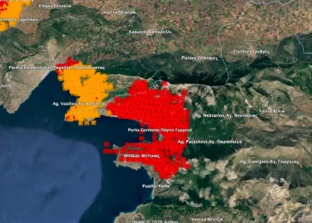 Κιθαιρωνας- «Έχουν επηρεαστεί 40.000 – 50.000 στρέμματα» λένε οι ειδικοί