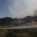 Νάξος: Φωτιά στην περιοχή Μικρή Βίγλα
