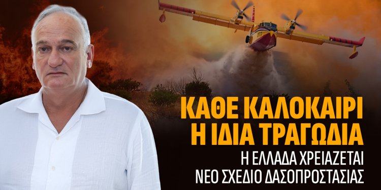 Α.Βορυλλας- Η Ελλάδα καίγεται γιατί δεν απέκτησε ποτέ εθνική στρατηγική δασοπροστασίας.