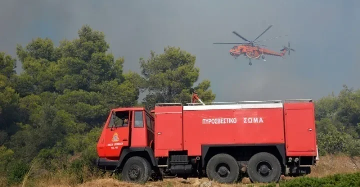 Ισχυρές επίγειες δυνάμεις συνεχίζουν να επιχειρούν στην πυρκαγιά στον Άγιο Βλάσιο Βοιωτίας
