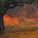 Πυρκαγιά σε χορτολιβαδική έκταση στην Πέλλα – FANTOMAS.GR