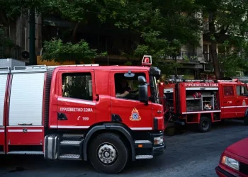 Πυροσβεστική: 42 αγροτοδασικές πυρκαγιές το τελευταίο εικοσιτετράωρο