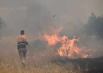 Δύο συλλήψεις για την πυρκαγιά στον Μύτικα Βοιωτίας