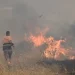 Δύο συλλήψεις για την πυρκαγιά στον Μύτικα Βοιωτίας