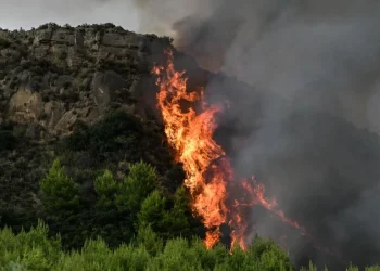 Πυρκαγιά σε δασική έκταση στo Κανδήλι Μεγάρων
