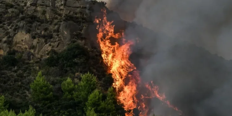 Πυρκαγιά σε δασική έκταση στo Κανδήλι Μεγάρων