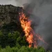 Πυρκαγιά σε δασική έκταση στo Κανδήλι Μεγάρων