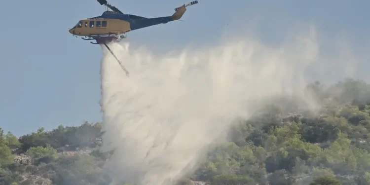 Πυρκαγιά σε χαμηλή βλάστηση στο Μαρκόπουλο