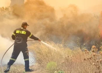 Σε ύφεση η φωτιά στην περιοχή Αγριλιά Μεσολογγίου