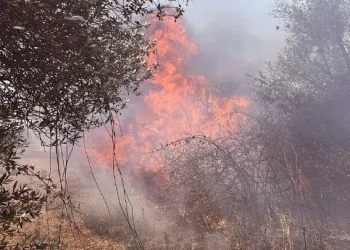 Βελτιωμένη η εικόνα της πυρκαγιάς στη Φλώρινα – Μαίνεται στο Καλοχώρι Χαλκίδας