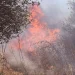 Βελτιωμένη η εικόνα της πυρκαγιάς στη Φλώρινα – Μαίνεται στο Καλοχώρι Χαλκίδας