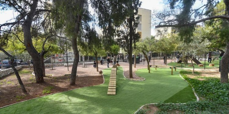Θεσσαλονίκη: Μητέρα και το παιδί της τραυματίστηκαν από πτώση δέντρου σε πάρκο – Αράπογλου: Δόθηκε εντολή για την άμεση διερεύνηση των συνθηκών